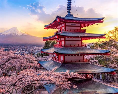 Viaje combinado por Japón, 3 maravillas de Japón desde 763