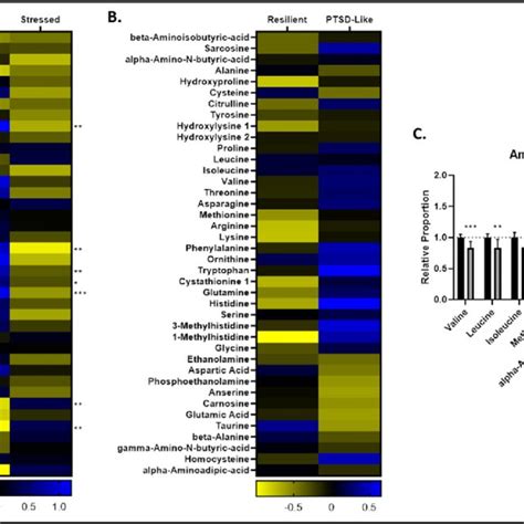 Plasma Amino Acids A B Heat Maps Represent Median Plasma Metabolite