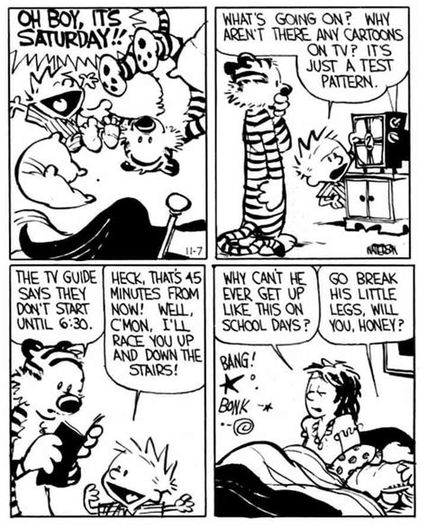 Pin By Sl Flowers On Calvin And Hobbes In 2024 Calvin And Hobbes