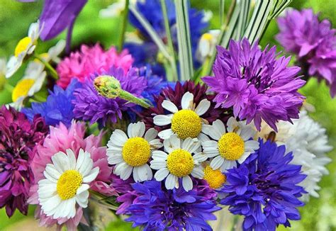 flowers