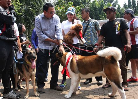 Kampanye Hari Bebas Rabies Antara Foto