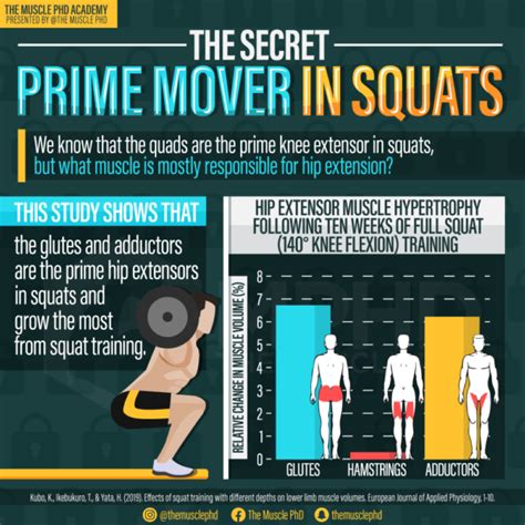 Wide Stance Vs Narrow Stance Squats The Muscle PhD