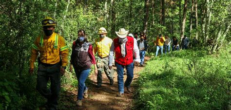 PROGOB Se Suma A Plantar 1000 Árboles En La Jornada Estatal De