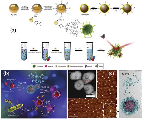 Bacteria Detection From Powerful Sers To Its Advanced Compatible Techniques Zhou 2020