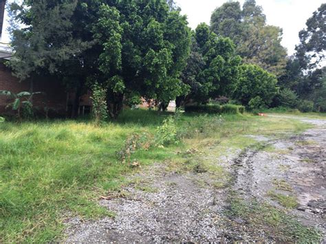 Renta Lote De Terreno En San Gregorio Atzompa Puebla