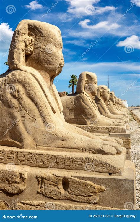 Sphinx Allee In Luxor Egypt Stock Photo Image Of Archeology Head