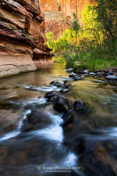 Escalante River | Escalante Canyon, Utah | Nathan St. Andre Photography