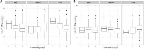 Frontiers Sex Interacting Mrna And Mirna Eqtls And Their