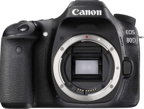 Canon Eos D Body Only Mp Dslr Camera Black Buy Best Price