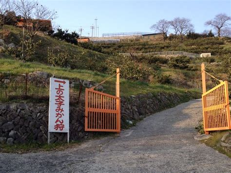 【上の太子観光みかん園】予約・アクセス・割引クーポン じゃらんnet