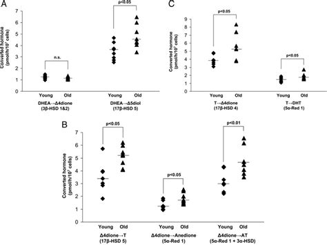 Conversion Picomoles Per Hour Per Cells Of Dhea A