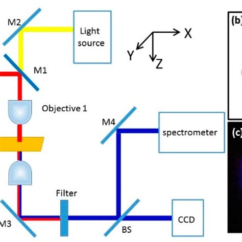 A Schematics Of The Experimental Setup For Measuring Second Harmonic