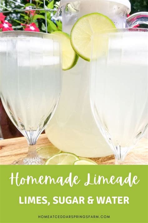 Easy Homemade Limeade Recipe Home At Cedar Springs Farm