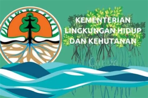 Menteri Lhk Sebut Kerja Konservasi Tidak Hanya Di Status Kawasan Hutan