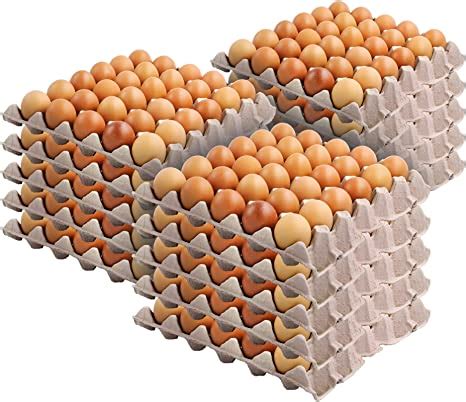 Stock Your Home Cell Egg Crates Pack Recyclable Stackable