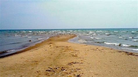 turkey point  featured images  turkey point norfolk county