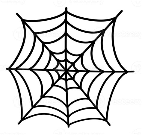 Spider Web Icon 18800836 PNG