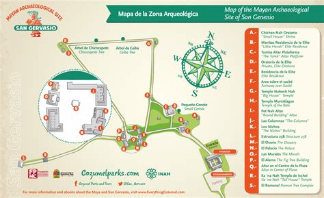 Conoce la Zona arqueológica San Gervasio en Cozumel Mayan Travel