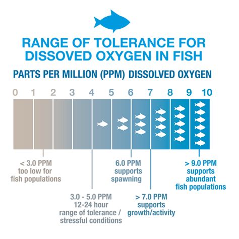 Surface Water: Dissolved Oxygen in Surface Water - Yes the Fish Need to Breath