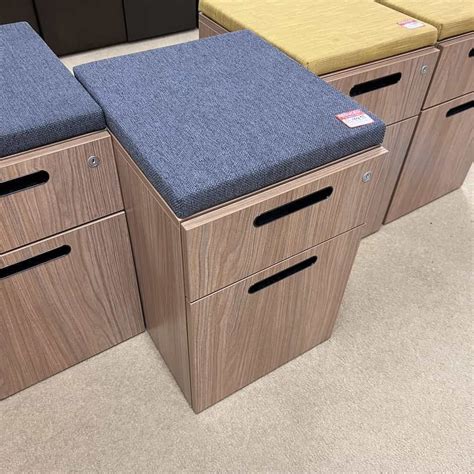 Teknion Drawer File Cabinet Cabinets Matttroy