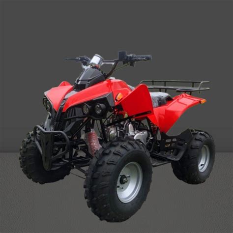 125cc Atvs 4 Wheel off-Road Gas Utvs Motorcycle - ATV and Quad Bike price