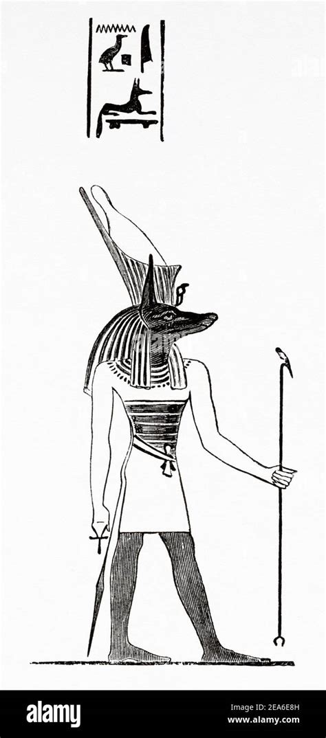 Anubis Il Dio Associato Con Mummificazione E L Aldil Nella Religione