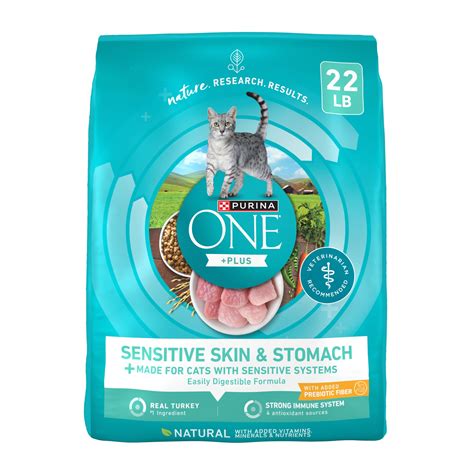Purina ONE Sensitive Stomach, Sensitive Skin, Natural Dry Cat Food