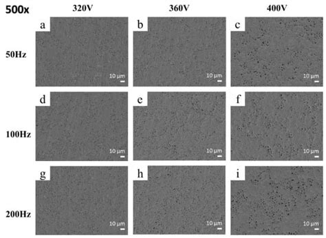 Coatings Free Full Text Correlation Between Microstructural