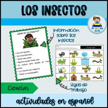 Los Insectos Actividades Insect Activities In Spanish By El Abc De Aris