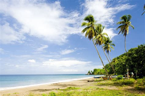 10 Best Beaches in Grenada | Celebrity Cruises