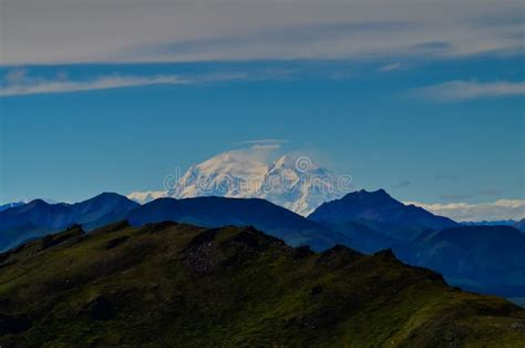 Distant View Of Mount Denali Mt Mckinley Peak From Mount Healy Hike