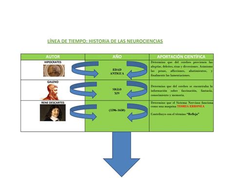 Linea Del Tiempo Historía De Las Neurociencias Ppt