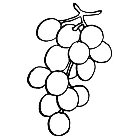 Premium Vector Grapes With Leaves Hand Drawn Grape Bunches