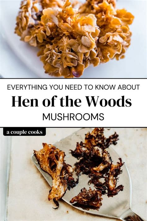 11 Delectable Hen Of The Woods Mushroom Recipes