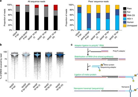 Direct Rna Sequencing Using Nanopore Arrays Is Highly Reproducible A Download Scientific