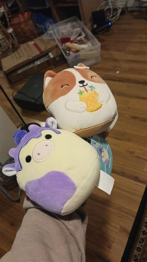 Squish Hunt R Squishmallow