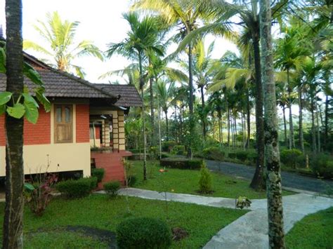 WAYANAD NATURE RESORTS - Prices & Resort Reviews (Sultan Bathery, India) - TripAdvisor