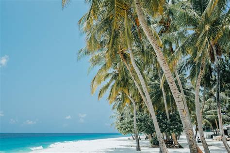 Aerial View of Beach Resort · Free Stock Photo