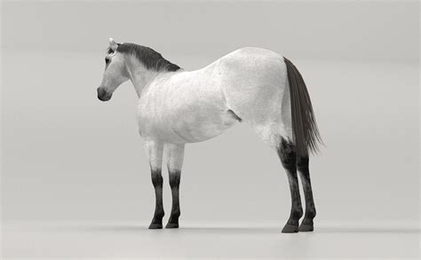 ArtStation - Gray Horse | Resources