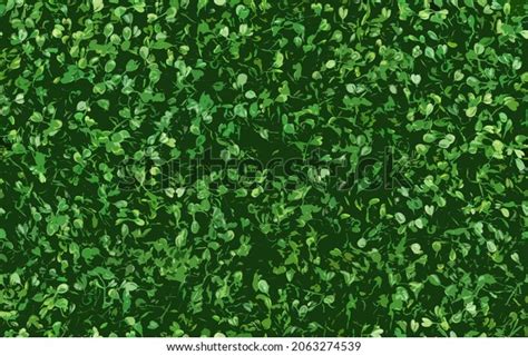 Grass Texture Green Grass Color Stock Illustration 2063274539 ...