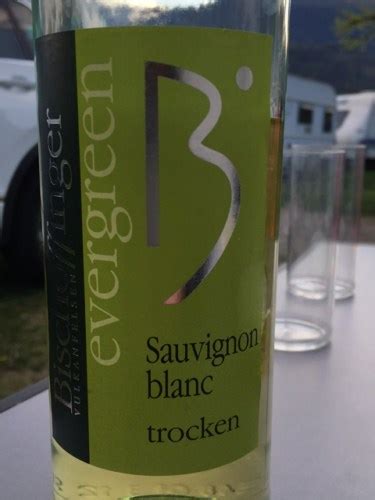 Bischoffinger Evergreen Sauvignon Blanc Trocken Vivino US