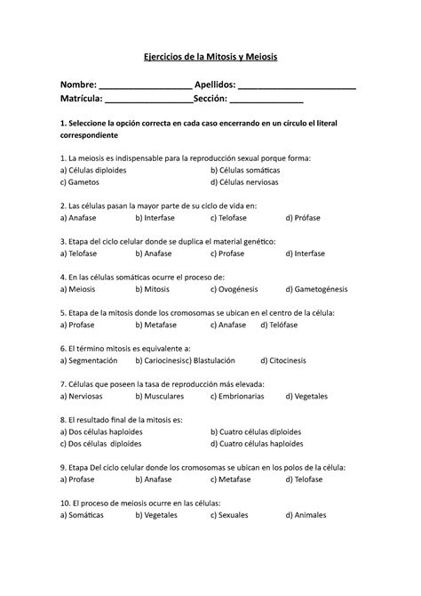 Copia De Ejercicios De La Mitosis Y Meiosis Ejercicios De La Mitosis