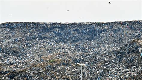 Fotogalerija Sindikalist Objasnio Kako Izgleda Odvoz Otpada Na