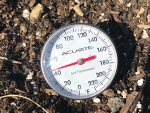 Using Soil Temperature To Decide When To Plant Minnesota State