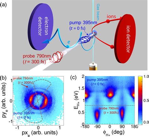 A Sketch Of The Electron And Proton Momentum Measurement From The