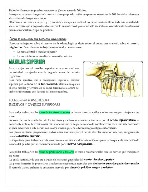 SOLUTION Tecnicas Anestesia Studypool