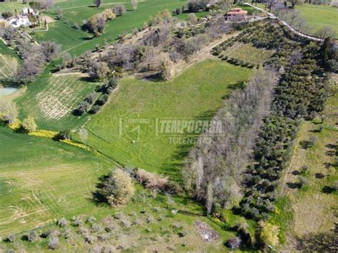 Terreno Agricolo Contrada Santa Lucia 16 Pollenza Rif 87145734