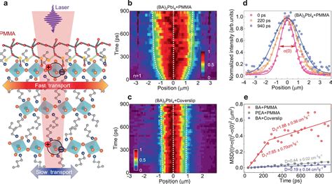 Boosted Exciton Mobility Approaching The Mott Ioffe Regel Limit In A 2D