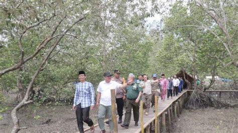 Ada Wisata Baru Bupati Tanjabbar Sarankan Berlibur Ke Hutan Mangrove