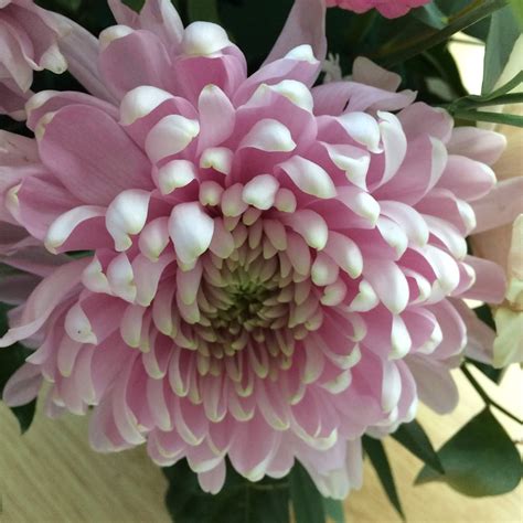 Life-changing events will follow the appearance of 523 6